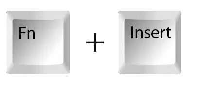 کلیدهای Fn + Insert